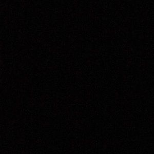 Meet your Posher, Gavin